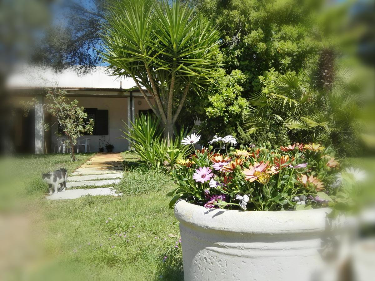 Missipezza Residence A Frassanito Alimini Εξωτερικό φωτογραφία